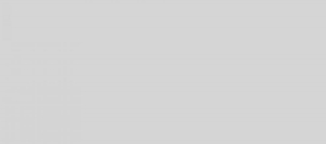 תערוכת קוסמוביוטי 2016